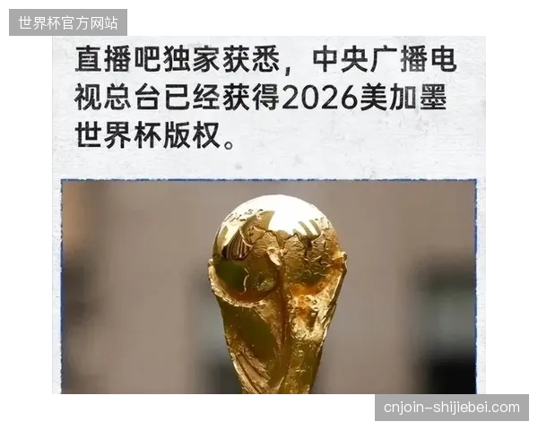 世界杯转播服务供应商的门槛已由直播保障能力向版权防御管控深度延伸